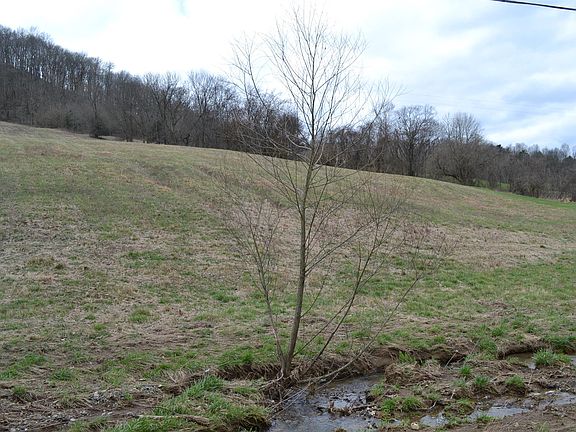 3rd image of 8 Hog Hollow Ln Lot 8