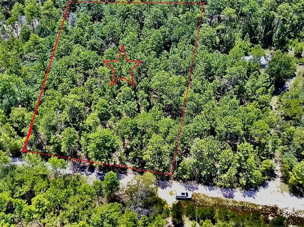 121 PEAR STREET LOT 13, WELAKA, FL 32193