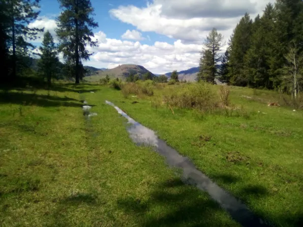Tbd Long Alec Creek Rd, Curlew, WA 99118