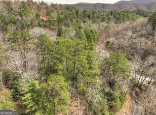 308 Lakota Trl #308, Blue Ridge, GA 30513