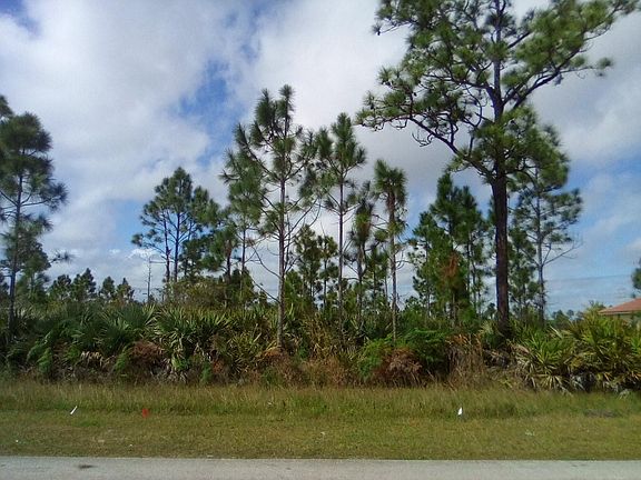 3rd image of 7836 Saddlebrook Drive