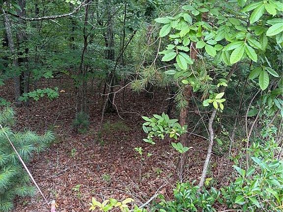 4th image of 13 Pinnacle Ct #13