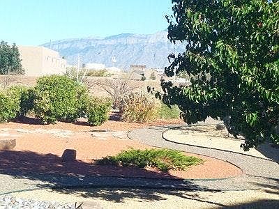 View from family room window