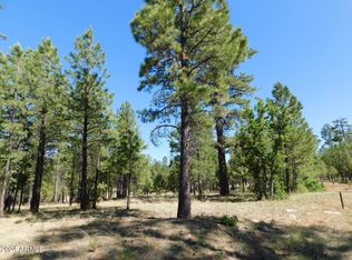 1841 Blue Sky Cir #189, Happy Jack, AZ 86024