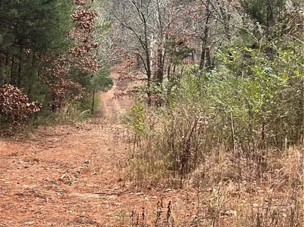 2276 E Brown St, Paris, AR 72855