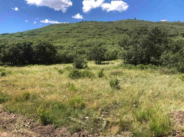 Lot 61 Road H.4, Dolores, CO 81323