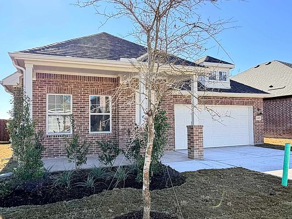 Exterior Design Construction Progress