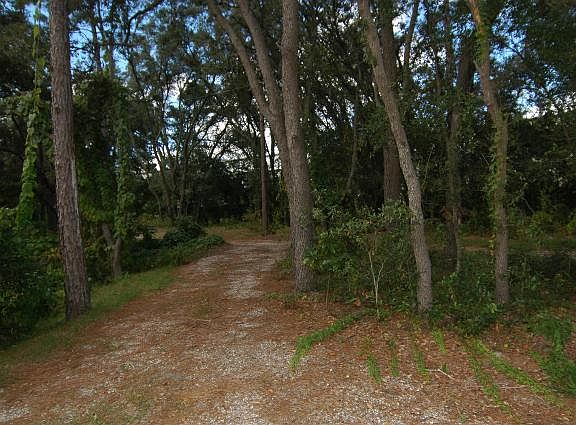 4th image of 5144 Marvin Dr