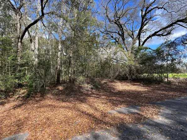 0 5th Ave, Geneva, AL 36340