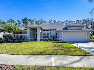 3914 Turkey Oak Dr, Valrico, FL 33596