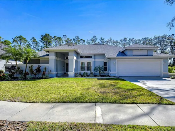 3914 Turkey Oak Dr, Valrico, FL 33596