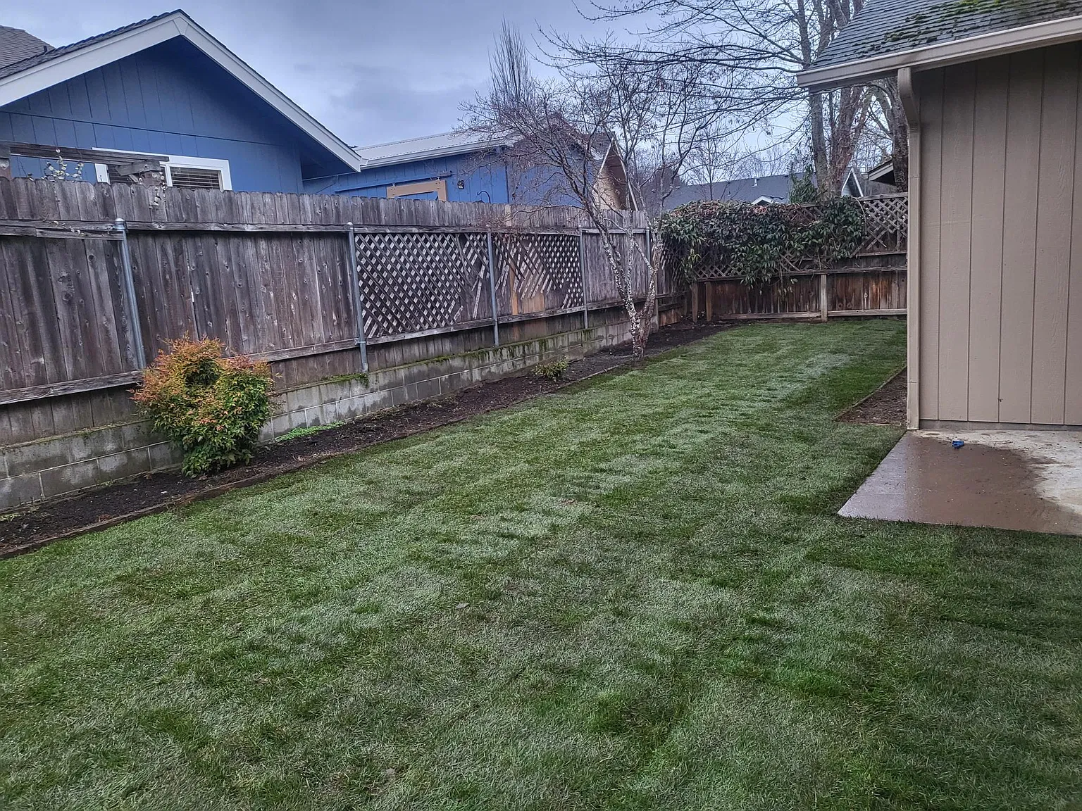3 bed, 1300 sqft, $1,900 — Photo 4