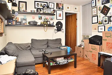 Rented by Bold New York