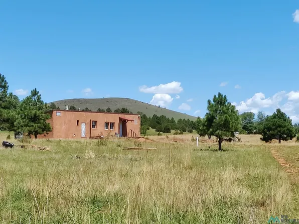 Ojo Feliz Rd, Ojo Feliz, NM 87735