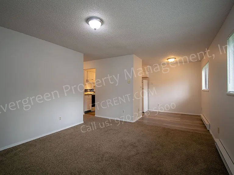 211 N Shields St — Photo 7