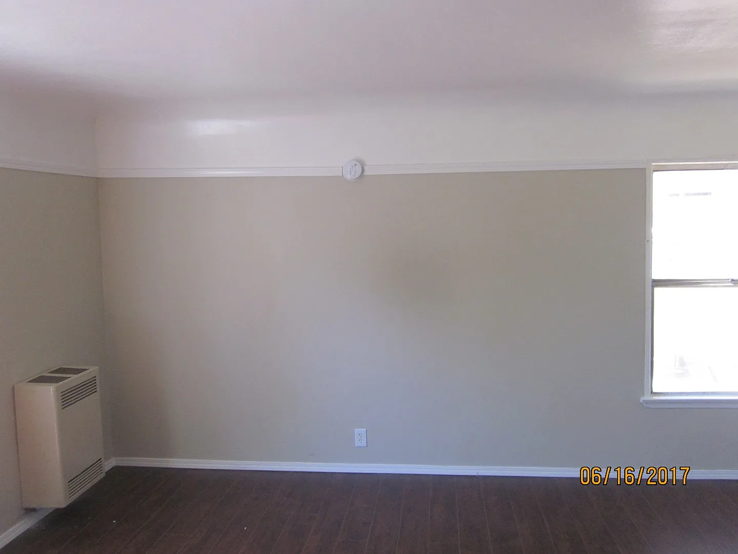 338 — Photo 3