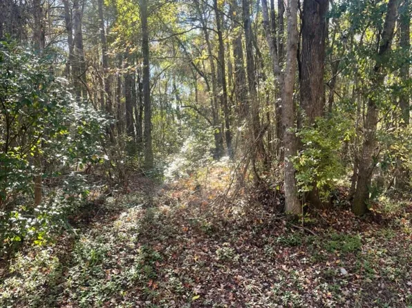 LOT 2 Casey Dr., Nichols, SC 29581