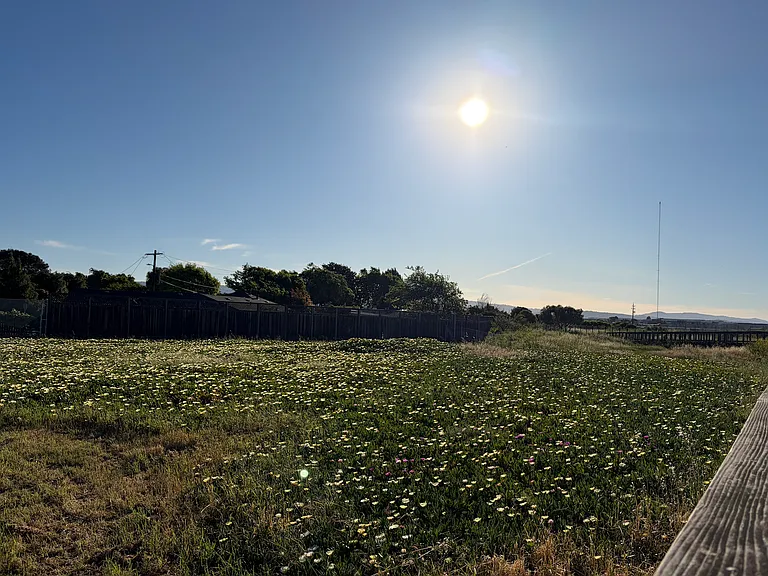 Open the back gate and you can see this beautiful view.