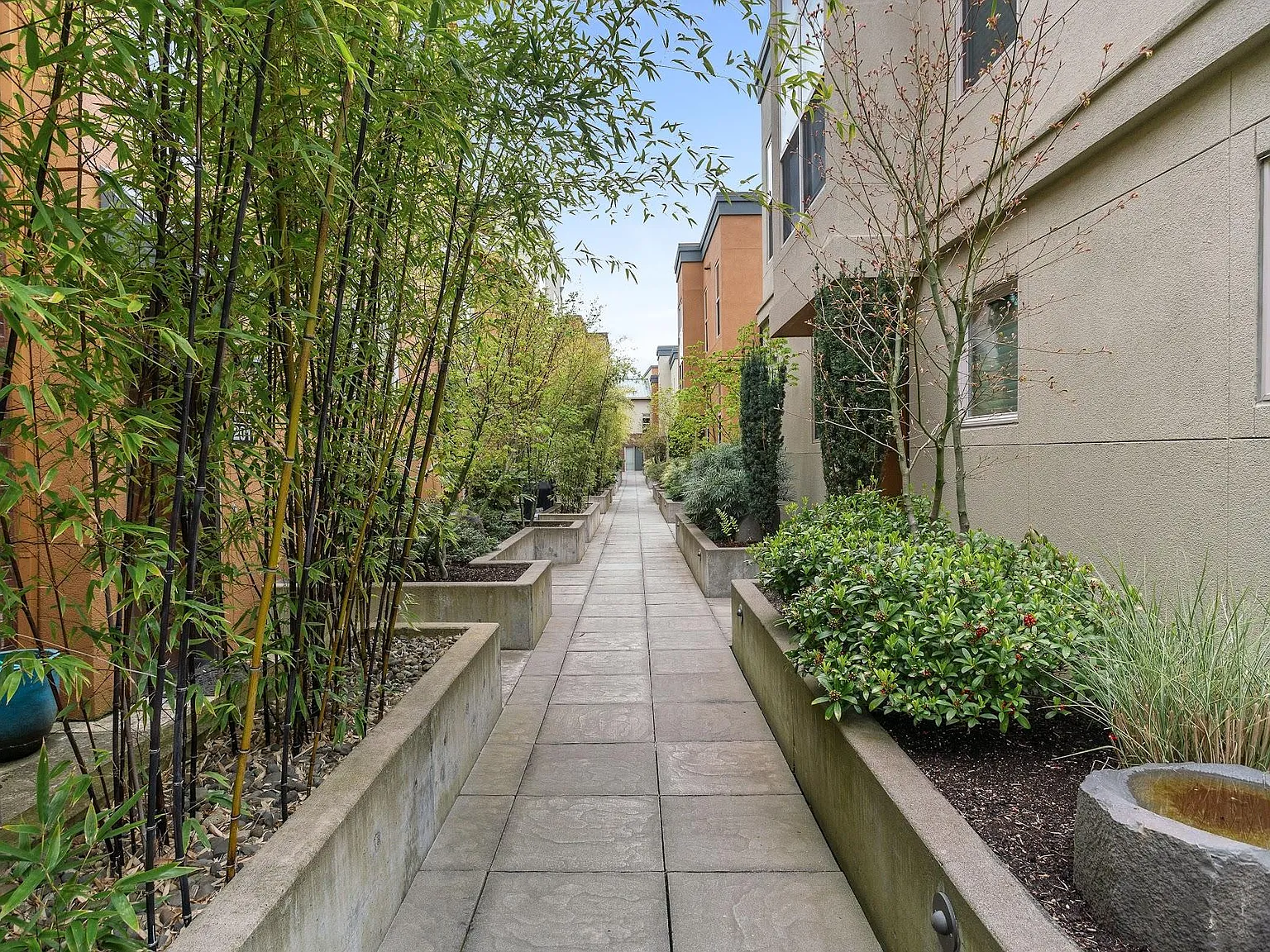 2 bed, 1244 sqft, $2,500 — Photo 3
