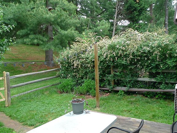 Fenced back yard with small deck