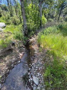 12609 Elk Mountain Rd, Upper Lake, CA, 95485