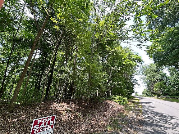 5th image of 35306 Carnoustie Cir Lot 15