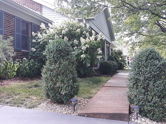 4th image of 514 Meadow Creek Ln