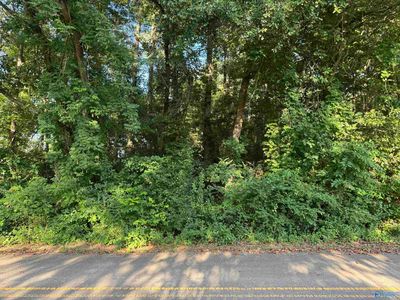 51 Sherwood Blvd, Fyffe, AL, 35971