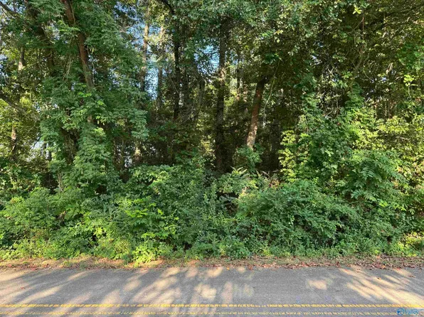 51 Sherwood Blvd, Fyffe, AL 35971