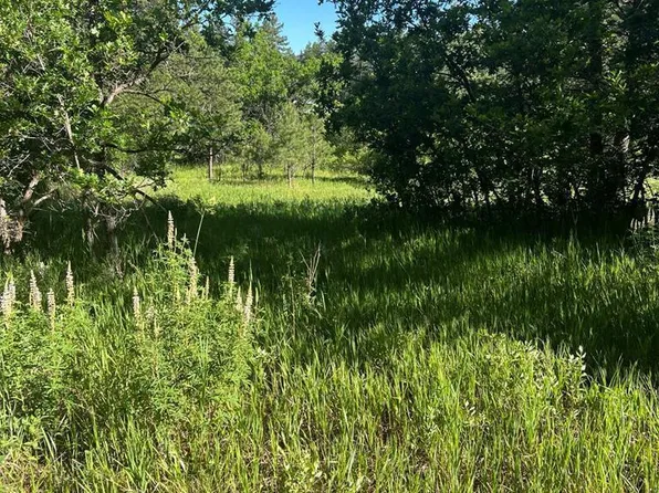 Tbd Pine Dr, Beulah, CO 81023