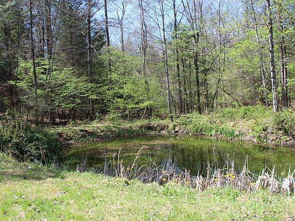 3rd image of 3798 Nile Rd