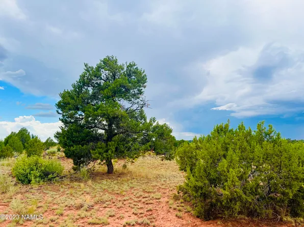 Lasso Loop Lot C, Williams, AZ 86046