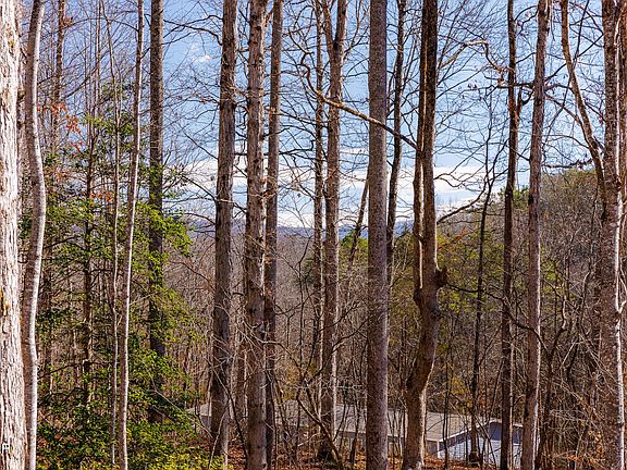 5th image of 1424 Lower English Creek Rd