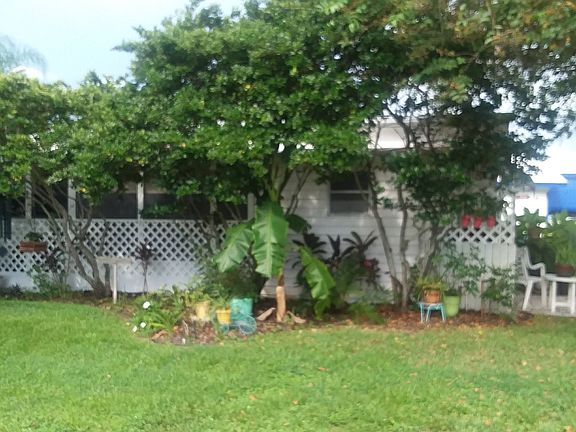 4th image of 28488 Us Highway 19 N Lot 70