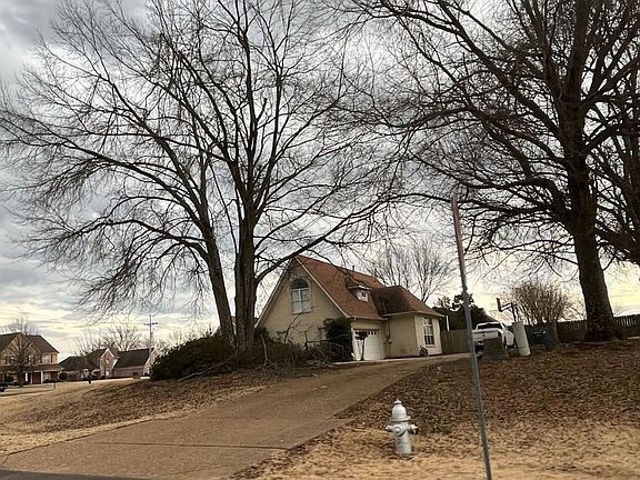 4th image of 3367 Marcia Louise Dr