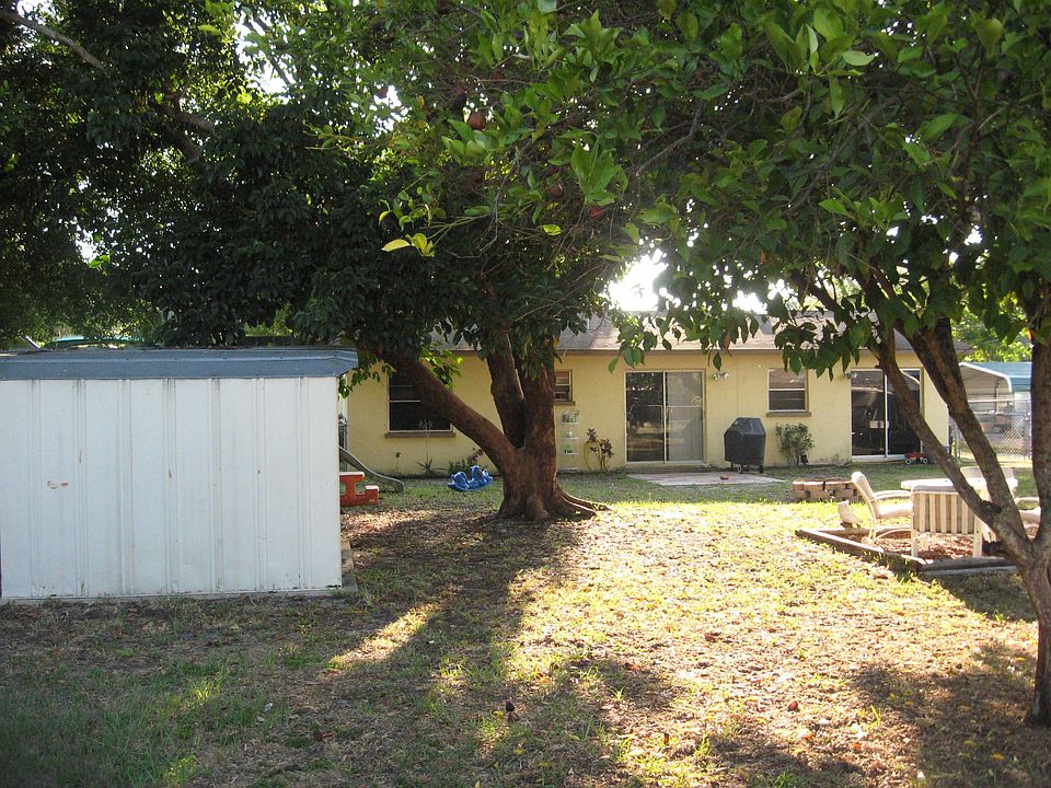 Back yard