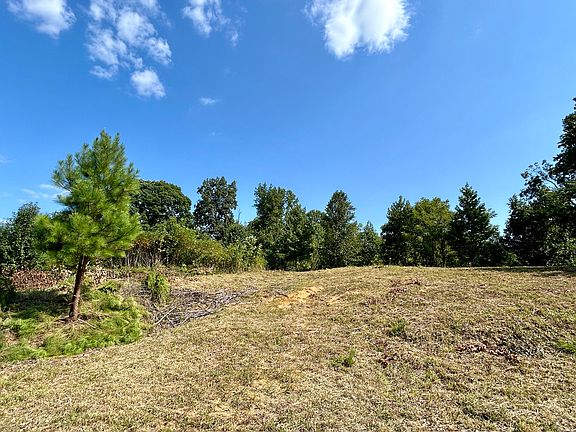 2nd image of 263 Hollow Creek Dr