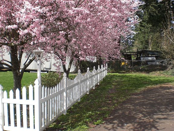 Street Side