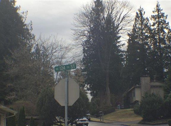 3rd image of 10615 NE 124th St