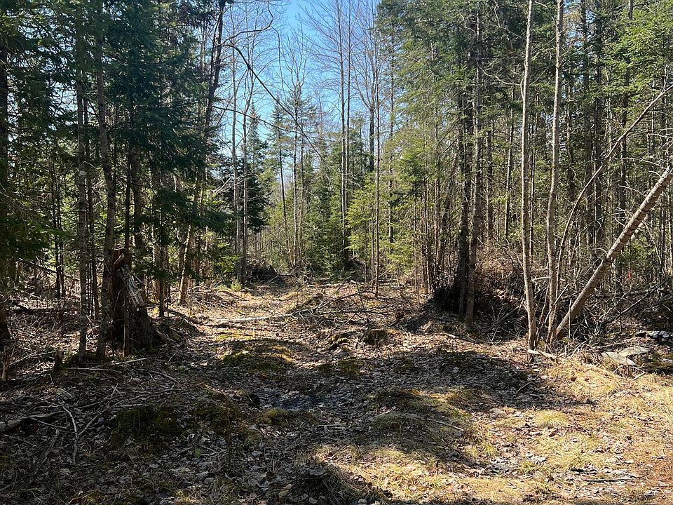 2nd image of 14-4 Hemlock Drive