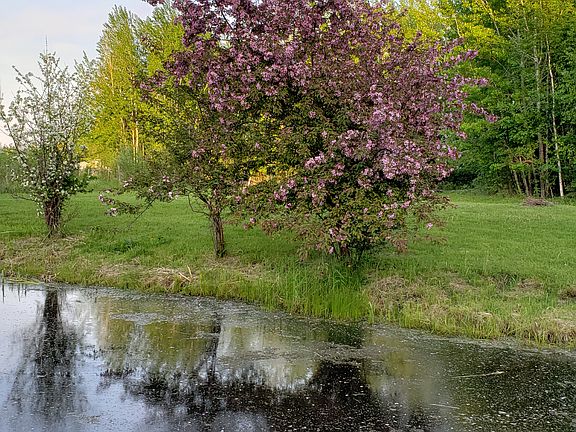 2nd image of 343 County Road 24