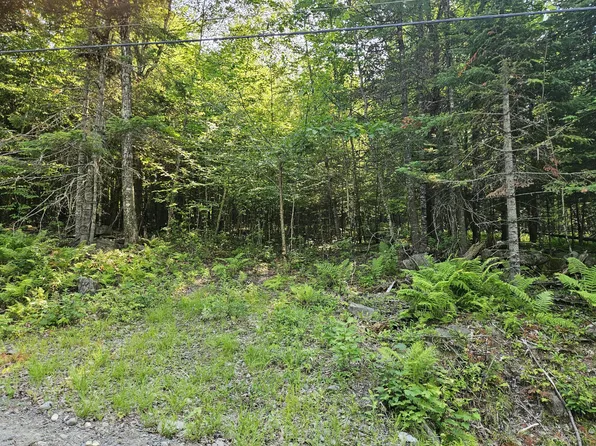Lot 2-A Rips Road, Brownville, ME 04414