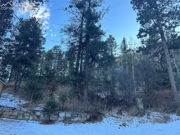 Wildwood Rd, Cascade, CO 80809