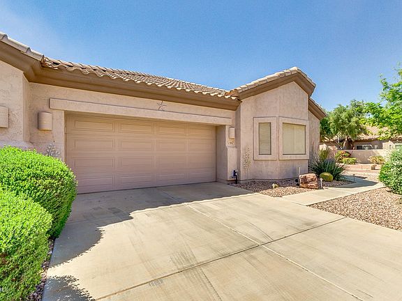03-Desert Willow