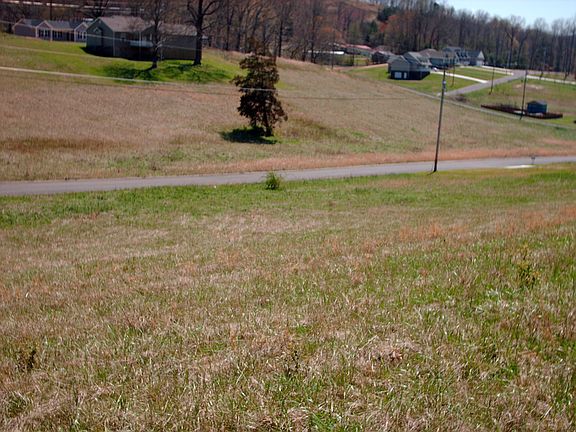 View from back of Lot 7