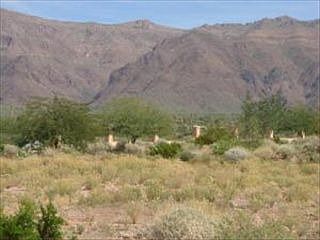 2nd image of 2415 S Pinyon Village Dr