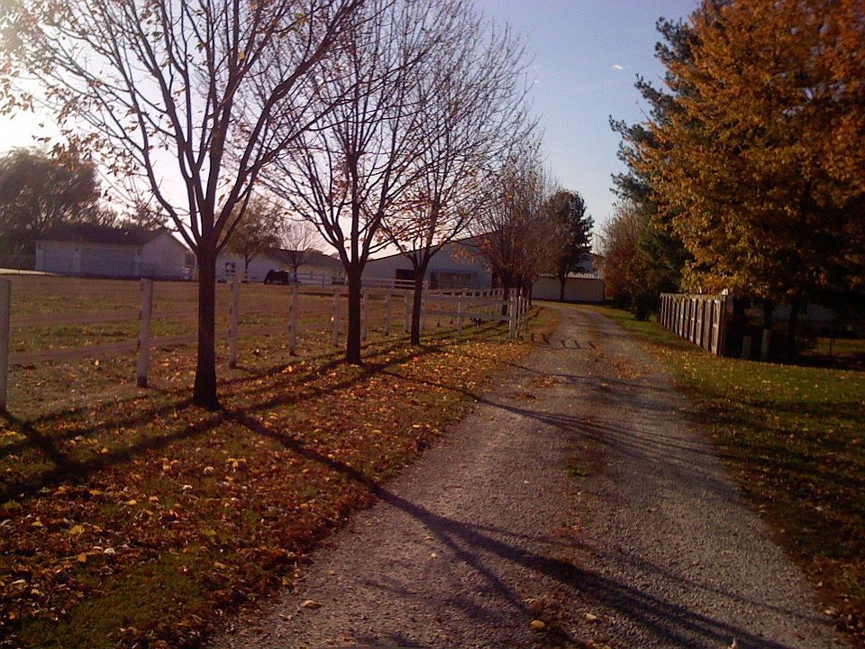 Entrance to property next to East paddock