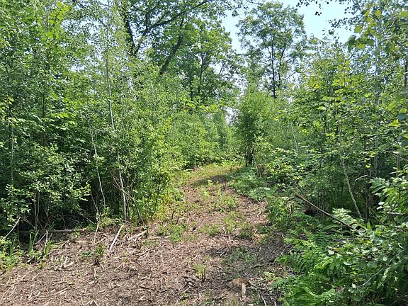 5th image of PARCEL 1 County Road T