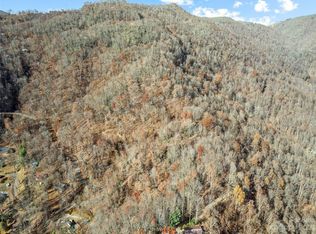 0 Rich Cove Rd, Maggie Valley, NC 28751