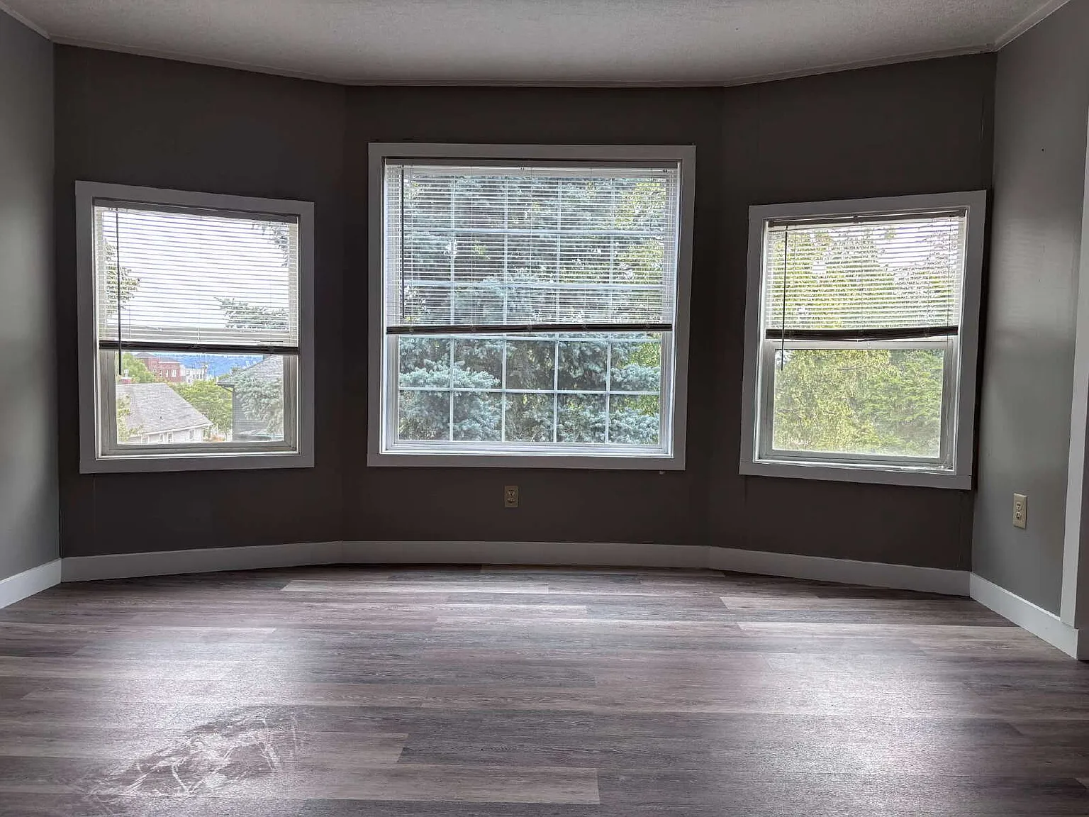 Studio, 1.0 bath, 395 sqft, $1,150 — Photo 2